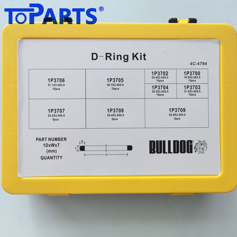 4C4784 D ring kit